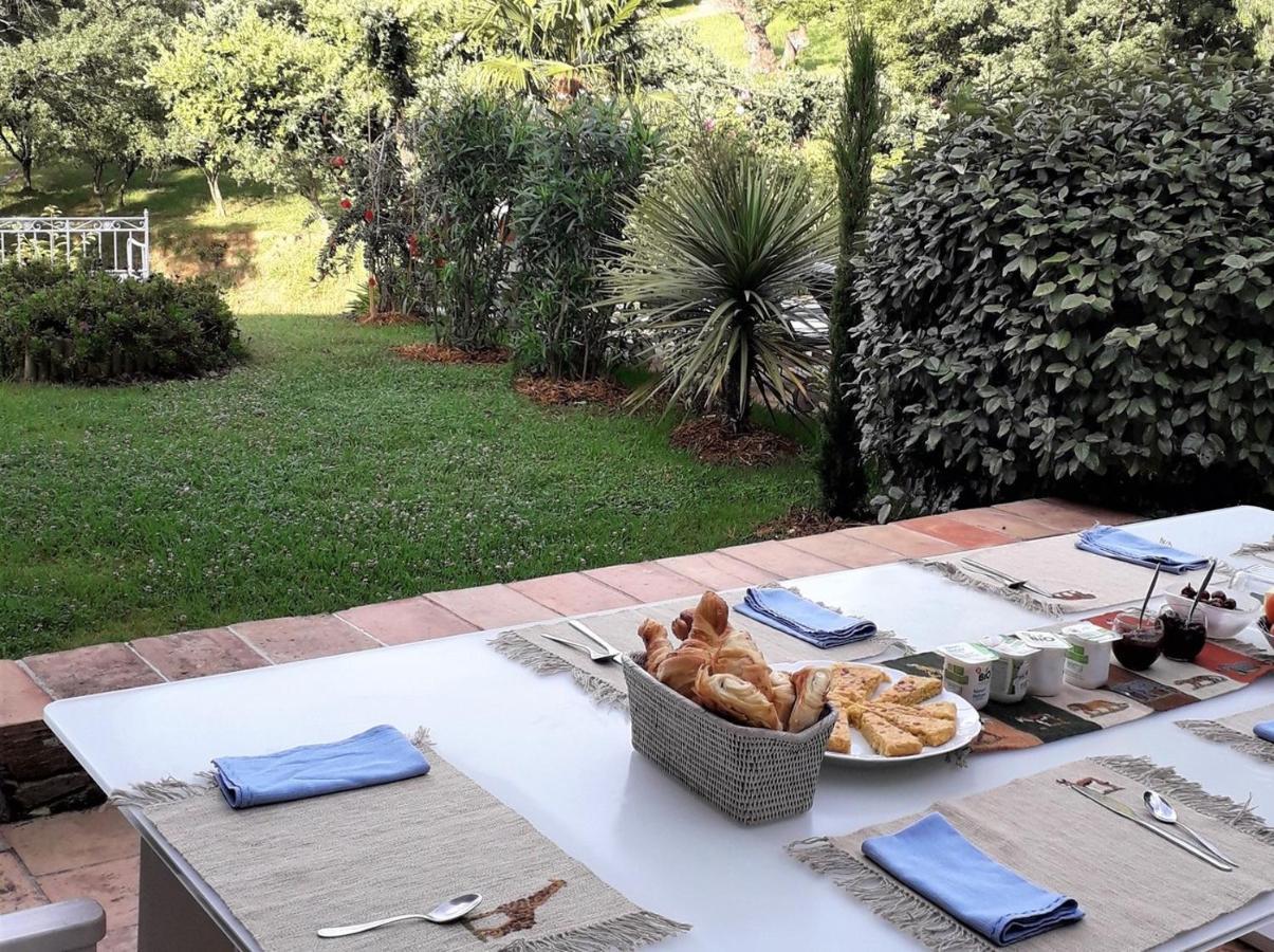 Villa Fontane Provence La Garde-Freinet Ngoại thất bức ảnh